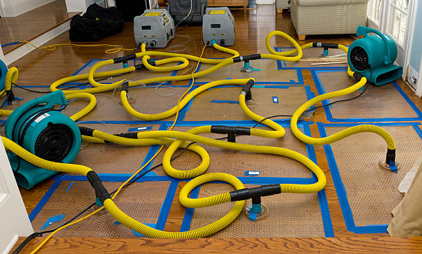 Professional Water Extraction technician working in Grubville, MO